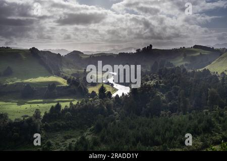 Die ländliche grüne Landschaft in der Nähe des Piriaka Lookout mit Blick auf das Tal des Whanganui River in der Nähe von Taumarunui in King Country, Nordinsel, Neuseeland Stockfoto