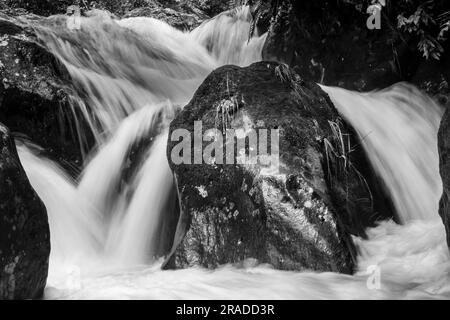 Die Stromschnellen am Waione Stream – eine Raststätte für Wasserfälle auf dem Pureora-Ongarue Timber Trail in der Nähe von Taumarunui in King Country, Nordinsel, Neuseeland. Stockfoto