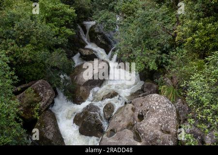 Die Stromschnellen am Waione Stream – eine Raststätte für Wasserfälle auf dem Pureora-Ongarue Timber Trail in der Nähe von Taumarunui in King Country, Nordinsel, Neuseeland. Stockfoto