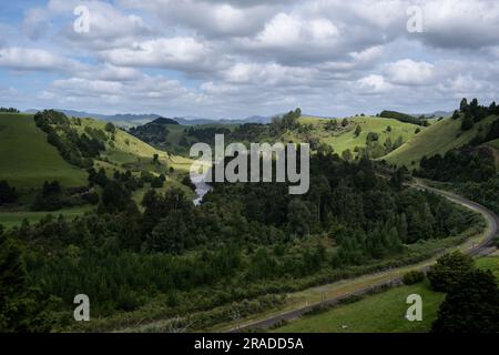 Die ländliche grüne Landschaft in der Nähe des Piriaka Lookout mit Blick auf das Tal des Whanganui River in der Nähe von Taumarunui in King Country, Nordinsel, Neuseeland Stockfoto