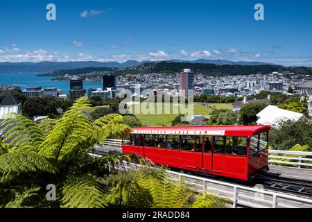 Der Blick über Wellington vom Cable Car Museum in Wellington Botanic Garden auf Kelburn Hill, Wellington, Neuseeland. Stockfoto