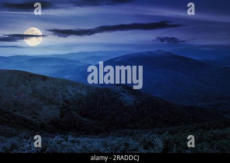 Sommerlandschaft bei Nacht. Nadelwälder am Fuße des bald Mountain im Vollmondlicht Stockfoto