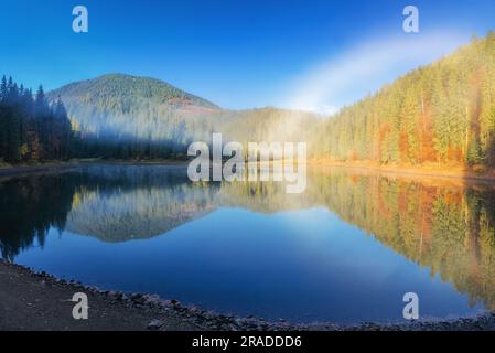 Sonnige Landschaft mit See im Herbst. Nebel über der Wasseroberfläche. Himmel und Bäume spiegeln sich Stockfoto