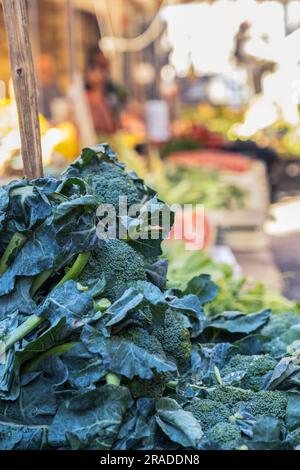 Broccoli rabe auf dem Street Food Market Ballaro, Palermo Sizilien, Gemüsestand mit verschwommenem Hintergrund Stockfoto