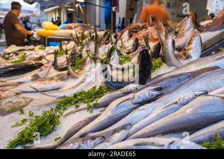 Stall mit Fischen auf dem Lebensmittelmarkt Capo in Palermo, Sizilien Stockfoto