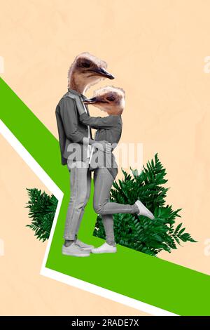Kreative Collage 3D Bild von kopflosen zwei Straußentieren Zoo Party tanzen kuschelt zusammen Sympathie isoliert Natur Hintergrund Stockfoto