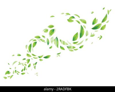 Realistisches fliegendes Laub. Natürlicher Fall von grünen Blättern oder Blättern fliegen auf Luftstrom mit verschwommenem Effekt, Sommerwald wirbelt Wind frische Kräuterpflanzen, exakte Vektordarstellung von fallendem Blatt Stock Vektor