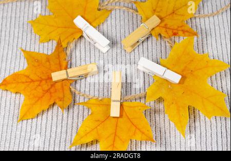 Herbstblätter auf Papier mit bunten Bleistiften Brillenrahmen ohne Mockup Stockfoto