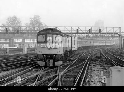 Ein Paar Diesellokomotiven der Klasse 33 mit den Nummern 33050 und 33021, die am 2. Januar 1993 auf der London Bridge eine „Crompton Constructor II“-Enthusiast-Eisenbahntour von Pathfinders absolvieren. Stockfoto