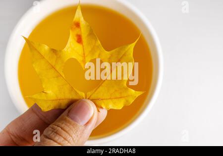 Herbstblätter auf Papier mit bunten Bleistiften Brillenrahmen ohne Mockup Stockfoto