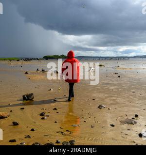 Eine Frau in einem roten Mantel, die einen Hund am Ufer von Lough Cullin, Pontoon, County Mayo, Irland mit Sturmwolken darüber trainiert Stockfoto