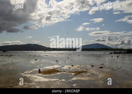 Abendsonne, Sonnenuntergang, Sommer, Lough Cullin, County Mayo, Irland Stockfoto