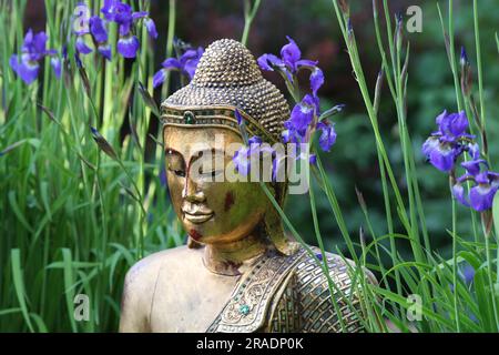 Buddha-Figur im Garten zwischen Iris Stockfoto