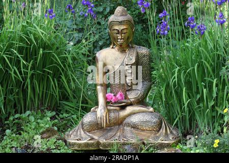 Buddha-Figur im Garten zwischen Iris Stockfoto