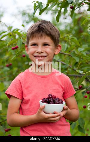 Vorschuljunge mit großem Teller und reifer roter Kirsche, die vom Baum im Garten gepflückt werden. Porträt eines glücklichen Kindes im Hintergrund eines Kirschbaums. H Stockfoto