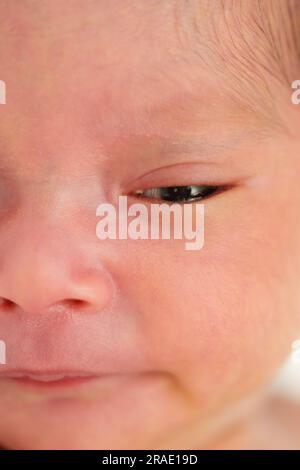 Nahaufnahme des Neugeborenen Stockfoto