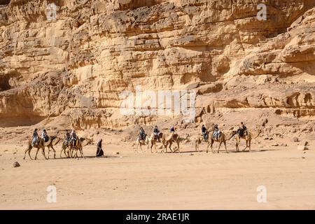 Wadi Rum, Jordanien - 19. Dezember 2022: Kamelkarawane mit Touristen inmitten der majestätischen Felsen im Sand von Wadi Rum in Jordanien. Stockfoto