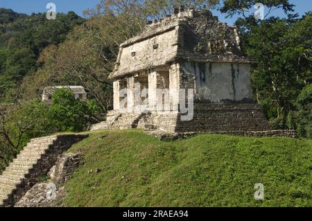 Tempel des Grafen, Nordgruppe, Palenque, Chiapas, Mexiko, Templo del Conde Stockfoto