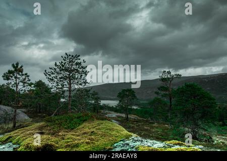 Wunderschöne Sommerberglandschaft. Himmel mit Wolken über Schichten von grünen Hügeln und Bergen. Norwegen. Hochwertiges Foto Stockfoto