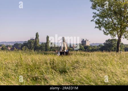 Brent, London, England, England, Lokale Fotografie Stockfoto