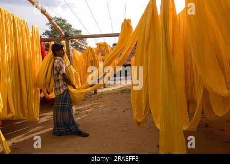 Textiltrocknungsanlage, Bekleidungsindustrie, Tiruppur Tirupur, Tamil Nadu, Südindien, Indien, Asien Stockfoto