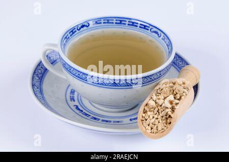 Tasse Fourstamen Stephanie Root Tea (Stephaniae tetrandrae Radix), Fang Ji Stockfoto