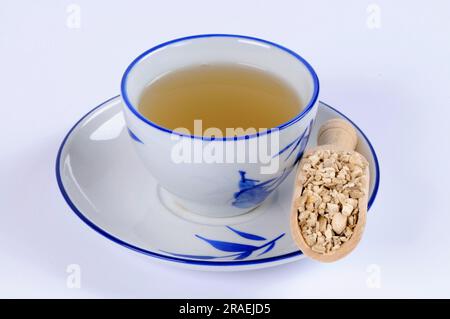 Tasse Fourstamen Stephanie Root Tea (Stephaniae tetrandrae Radix), Fang Ji Stockfoto