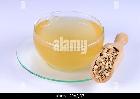 Tasse Fourstamen Stephanie Root Tea (Stephaniae tetrandrae Radix), Fang Ji Stockfoto