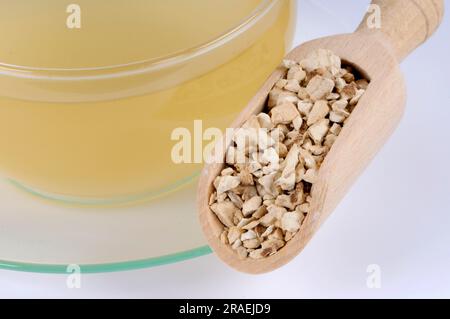 Tasse Fourstamen Stephanie Root Tea (Stephaniae tetrandrae Radix), Fang Ji Stockfoto