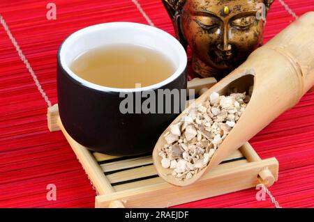 Tasse Fourstamen Stephanie Root Tea (Stephaniae tetrandrae Radix), Fang Ji Stockfoto