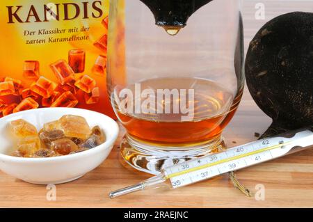 Schwarzer Rettich, Wurzel und braune Süßigkeiten (Raphanus sativus), Zucker, Zubereitung von Hustensaft, Fieberthermometer Stockfoto