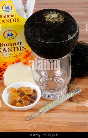 Schwarzer Rettich, Wurzel und braune Süßigkeiten (Raphanus sativus), Zucker, Zubereitung von Hustensaft, Fieberthermometer Stockfoto