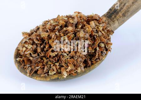 (Prunellae Spica), Xia Ku Cao, Brownellae-Ohren, Brownellae-Ohren Stockfoto