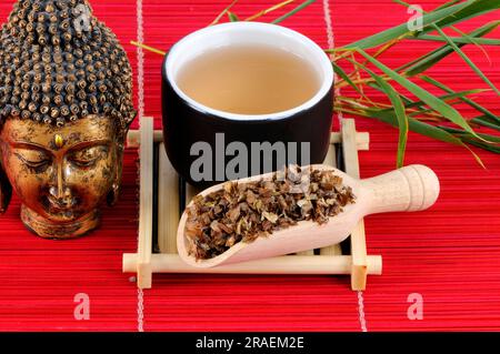 Tasse brauner Erlenohrtee (Prunellae Spica), Xia Ku Cao, braunes Erlenohr, braune Erlenohrtee, brauner Erlenohrtee Stockfoto