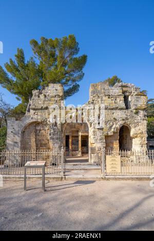 Tempel der Diana, Nîmes, Okzitanien, Frankreich, Nîmes, Okzitanien, Frankreich Stockfoto