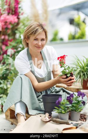 Nicht wiedererkennbare Frauenhände, die rote Setzblume begonya halten. Neu gepflanzte Blumen im Garten. Gärtner in der Blumenpflanzung von Schürzen. Stockfoto