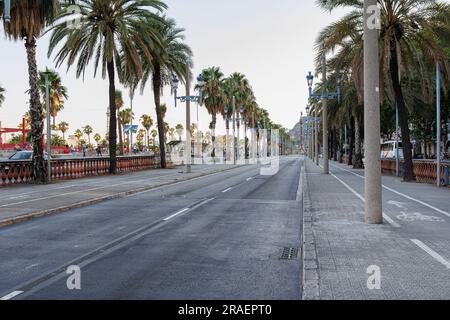 Passeig de Colom Straße mit Palmen in Barcelona, Spanien. Stockfoto