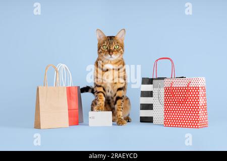 Katze mit Einkaufstaschen zum Rabatt und Verkauf im Einkaufszentrum, isoliert auf blauem Hintergrund Stockfoto