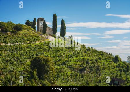 Kirche San Vigilio auf dem Prosecco Weinberg. Altes Weingebiet Valdobbiadene und Conegliano, Col San Martino, Gemeinde Farra d Stockfoto