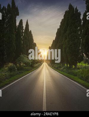 Die von Zypressen gesäumte Straße Bolgheri und die Sonne in der Mitte. Dies ist der historische Boulevard von Carducci' Dichter Davanti San Guido. Alta Marem Stockfoto