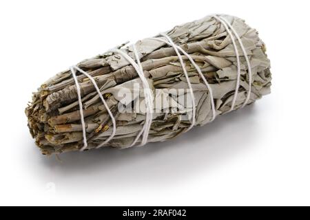 Weißer Salbei-Fleck-Stick für Meditation, Heilung und spirituelle Raumreinigung Stockfoto