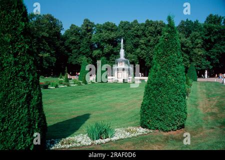 Römischer Brunnen, Peterhof, Sankt Petersburg, Russland Stockfoto