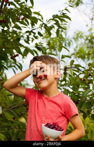 Vorschuljunge pflückt und isst reife rote Kirschen vom Baum im Garten. Porträt eines glücklichen Kindes mit Kirschteller im Kirschhintergrund oder Stockfoto