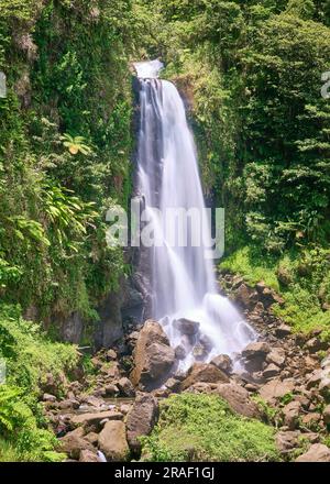 Umgeben von üppigem Grün ist Mama Falls einer der beiden Trafalgar Falls auf der karibischen Insel Dominica. Stockfoto