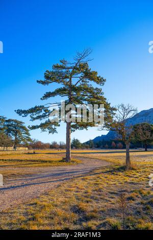 Plan-d'Aups-Sainte-Baume, Provence-Alpes-Côte d'Azur, Frankreich Stockfoto