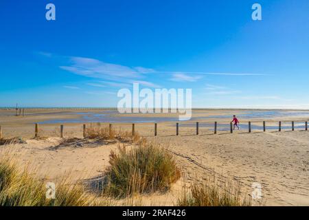 Napoleon Beach, Port-Saint-Louis-du-Rhône, Bouches-du-Rhône, Provence-Alpes-Côte d'Azur, Frankreich Stockfoto