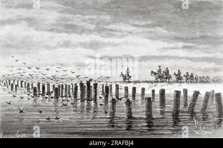 Palmenstämme im Pilcomayo, Bolivien, Südamerika. Reise auf der Suche nach den Überresten der Crevaux Mission von Emile-Arthur Thouar 1884. Alte Gravur aus dem 19. Jahrhundert von Le Tour du Monde 1906 Stockfoto