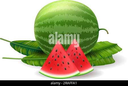 Realistische Wassermelonen-Gruppe Stock Vektor