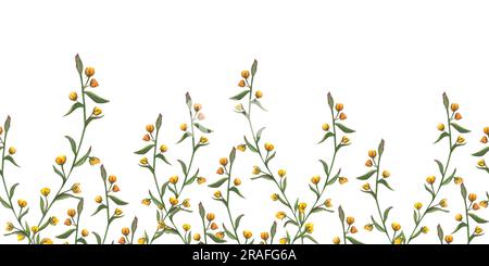 Blumig nahtloser horizontaler Rand mit Blumen, Blättern, wildem Hafer. Von Hand gezeichnetes Aquarellmuster auf weißem Hintergrund. Panoramabild für den Sommer Stockfoto