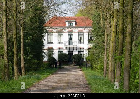 Eingang eines luxuriösen weißen Landhauses zwischen einer Allee mit Bäumen in Elst in den Niederlanden Stockfoto
